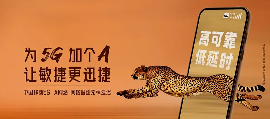 肇州县肇州县兴城镇 移动宽带